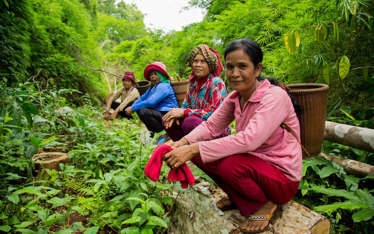 Women's rights and gender justice